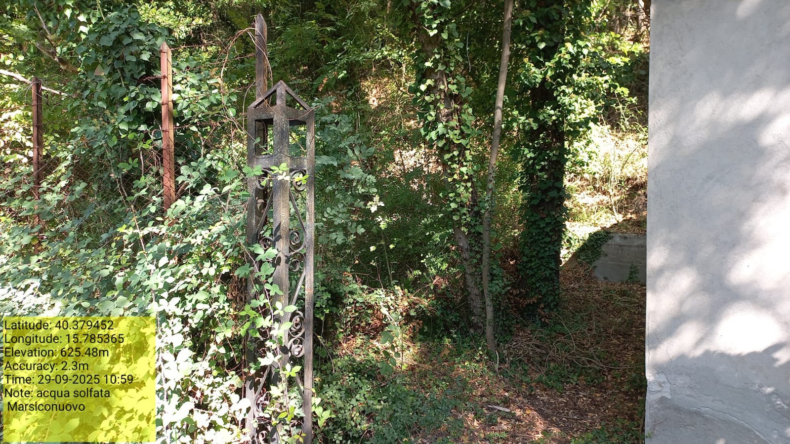 Galleria Fotografica Immagine