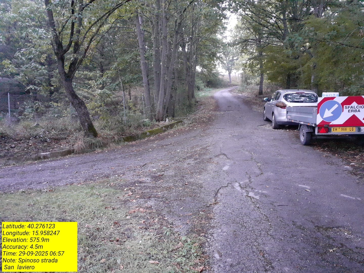 Galleria Fotografica Immagine