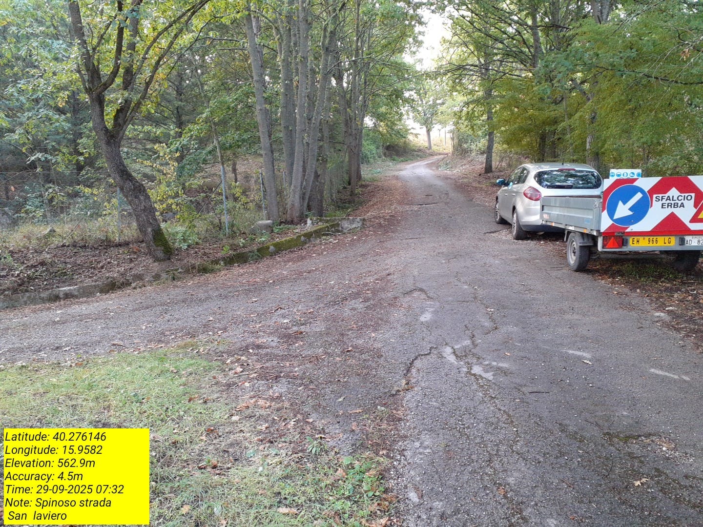 Galleria Fotografica Immagine