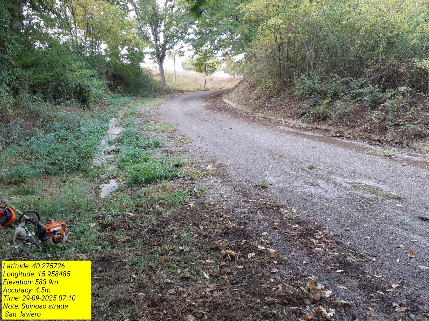 Galleria Fotografica Immagine