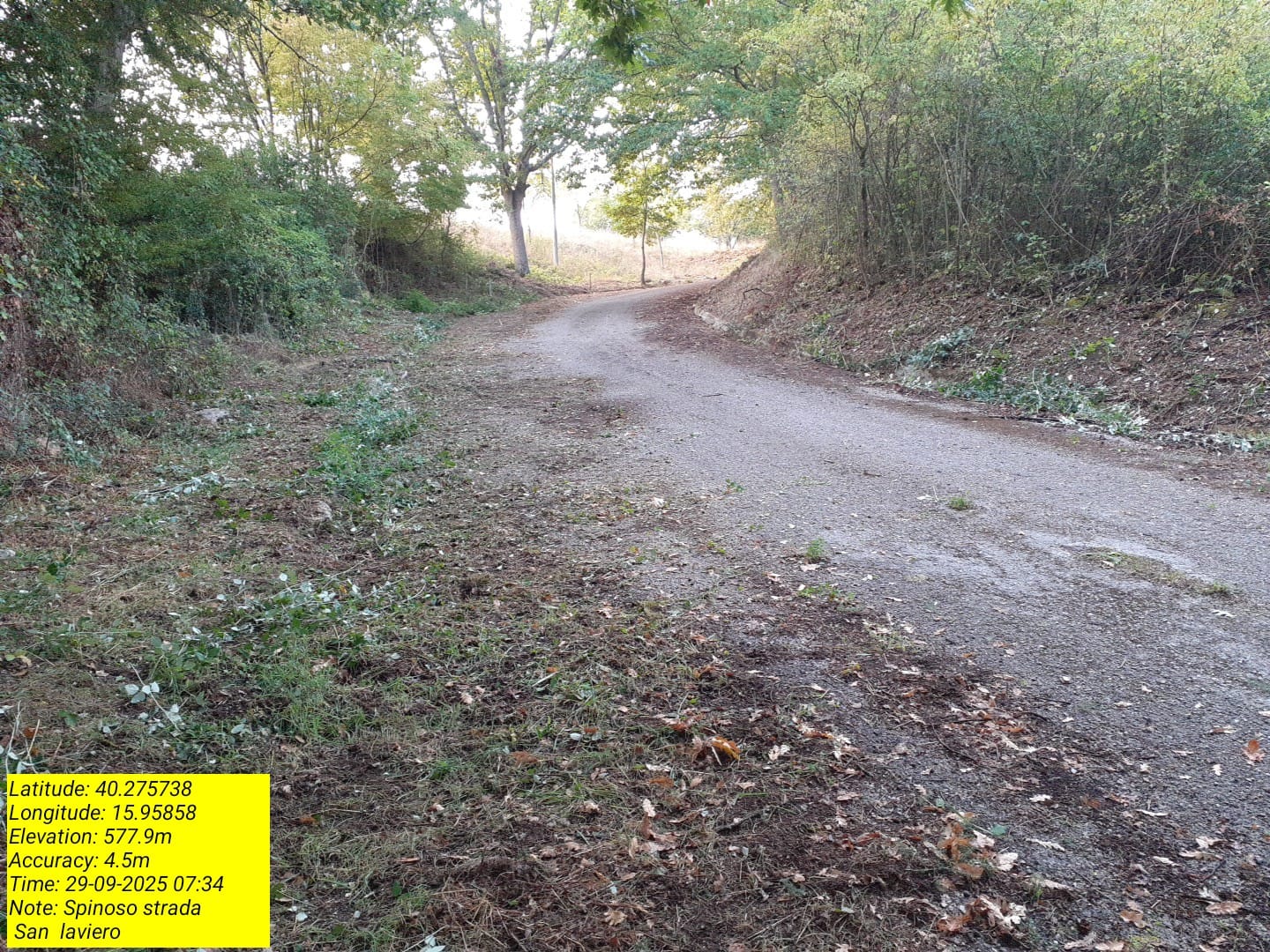 Galleria Fotografica Immagine