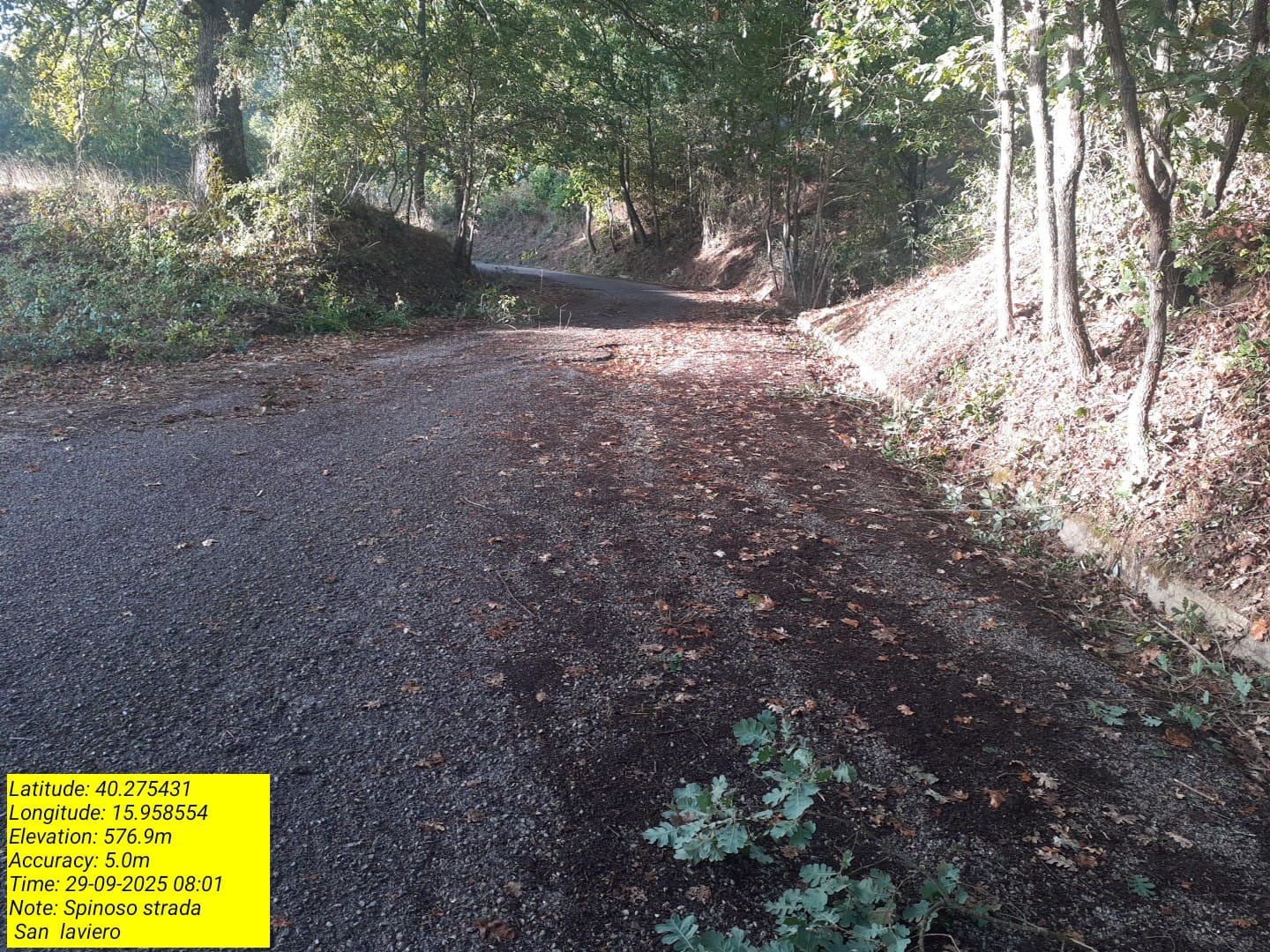 Galleria Fotografica Immagine