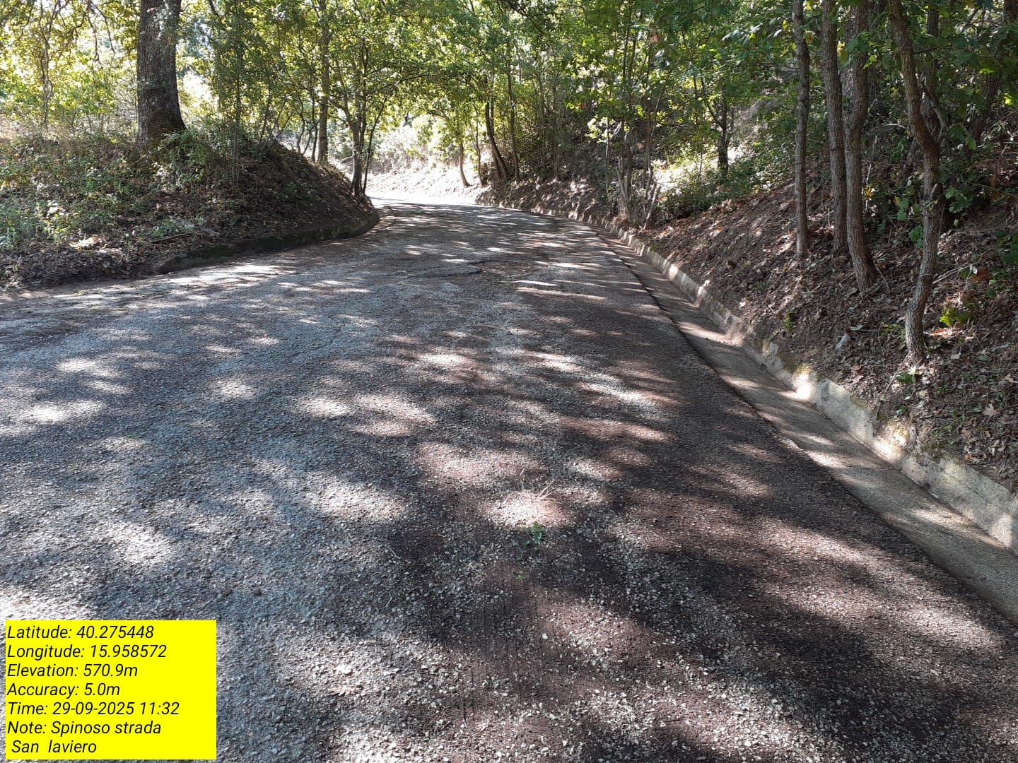 Galleria Fotografica Immagine