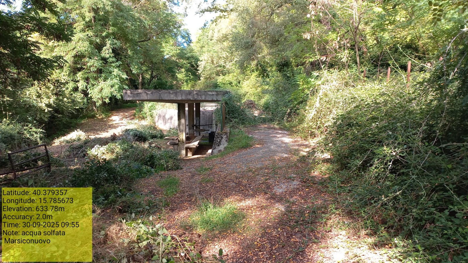 Galleria Fotografica Immagine