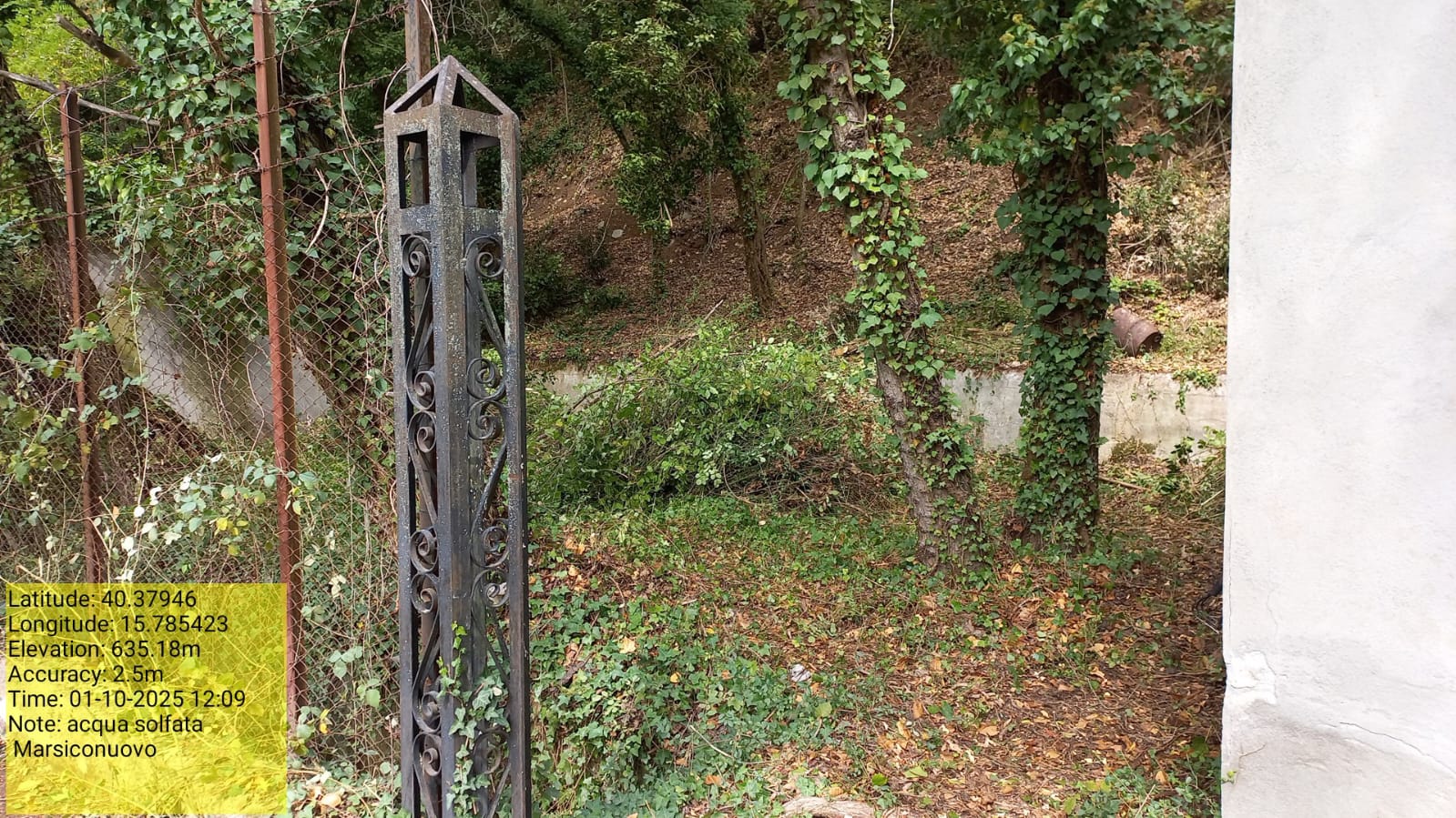 Galleria Fotografica Immagine