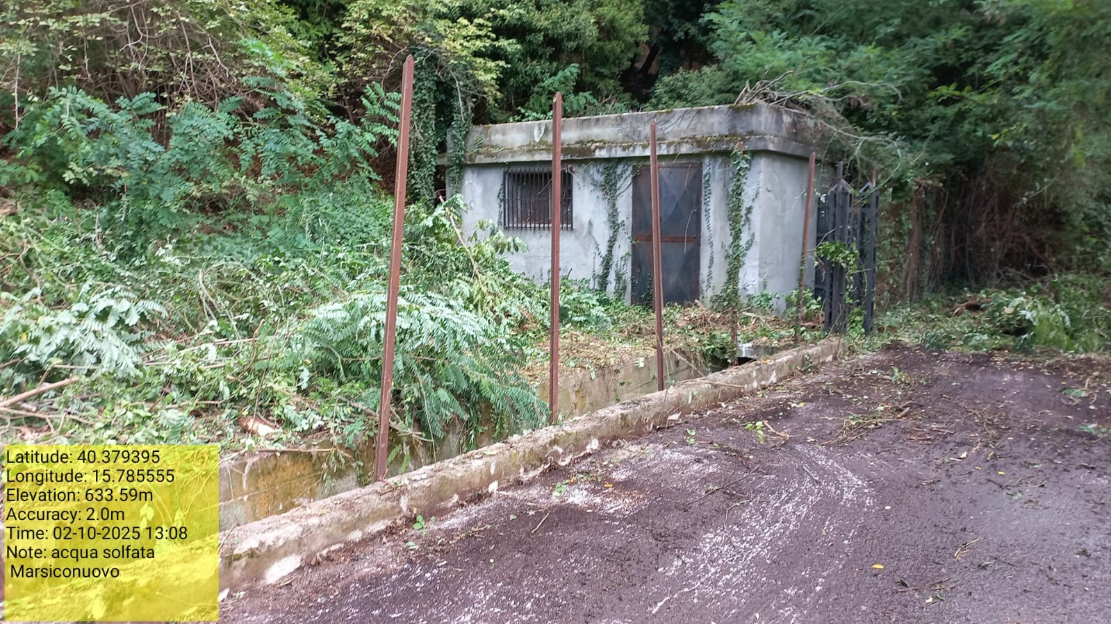 Galleria Fotografica Immagine