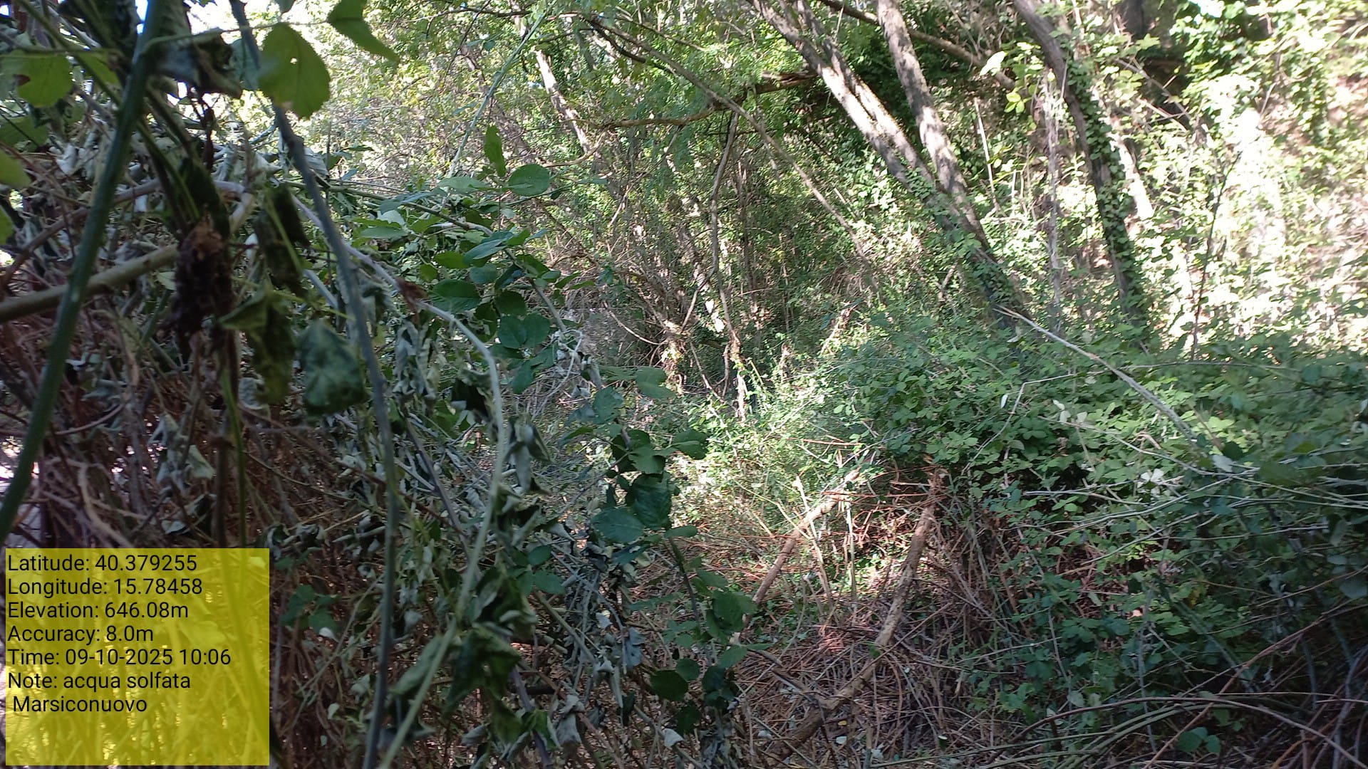 Galleria Fotografica Immagine