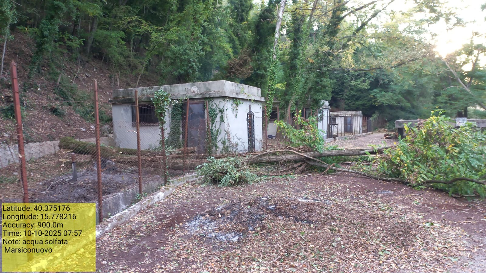 Galleria Fotografica Immagine