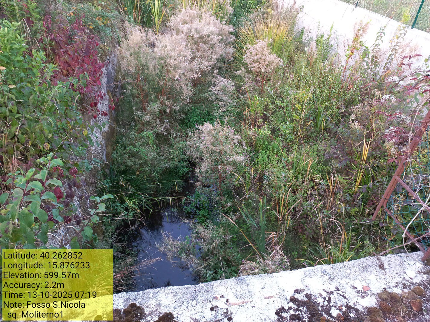 Galleria Fotografica Immagine