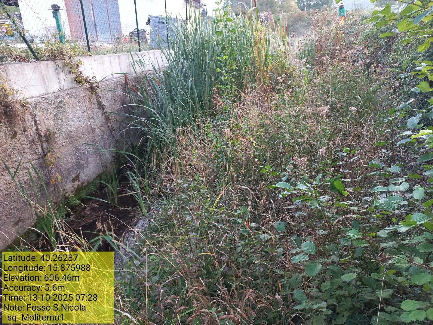 Galleria Fotografica Immagine