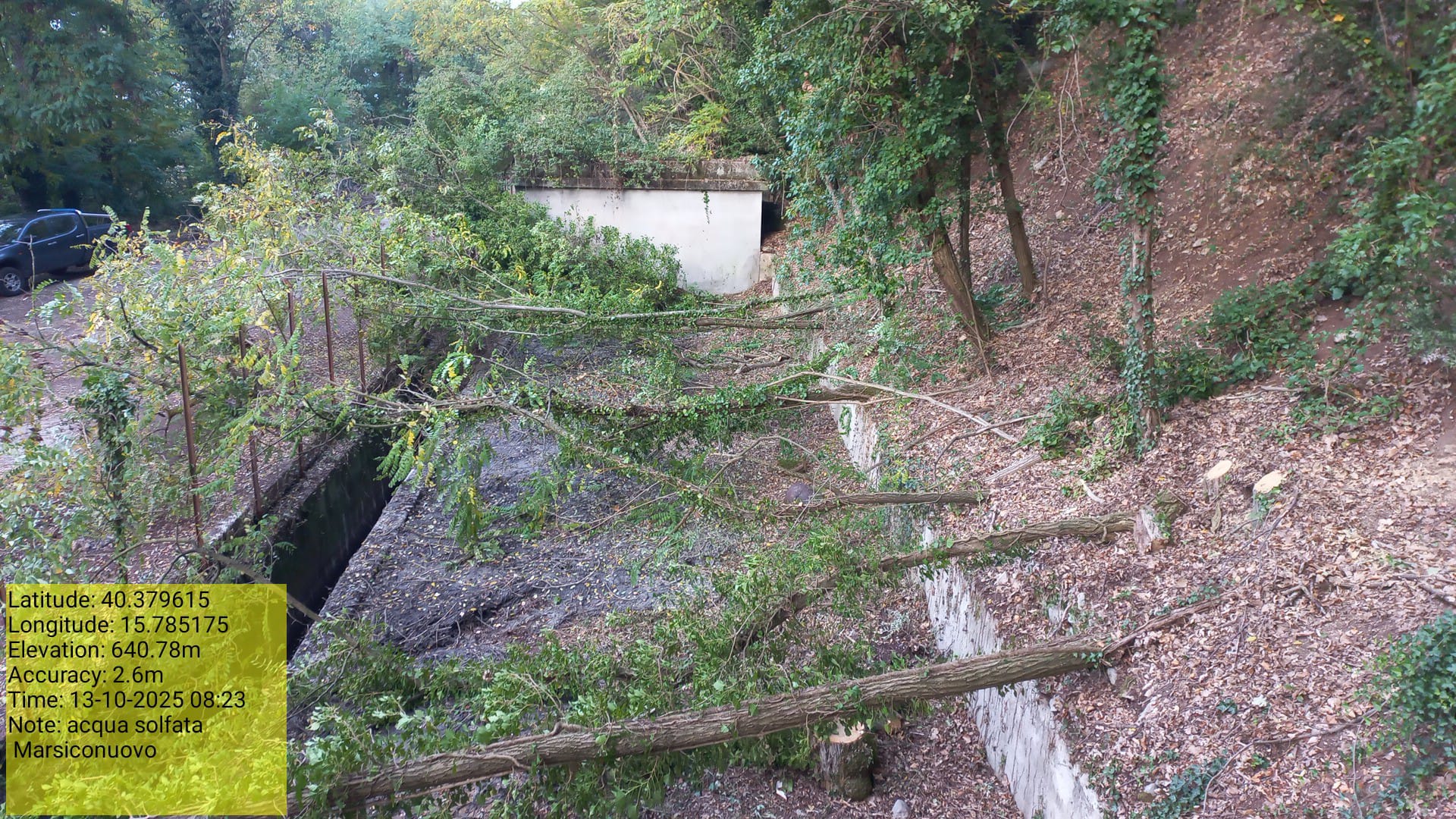 Galleria Fotografica Immagine