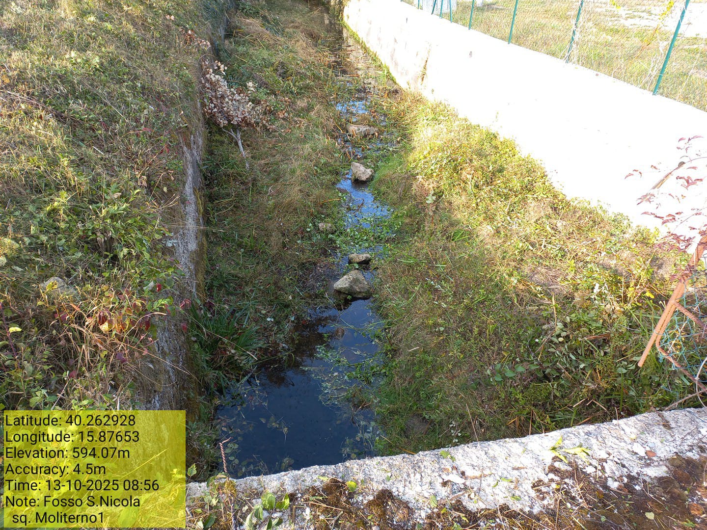 Galleria Fotografica Immagine