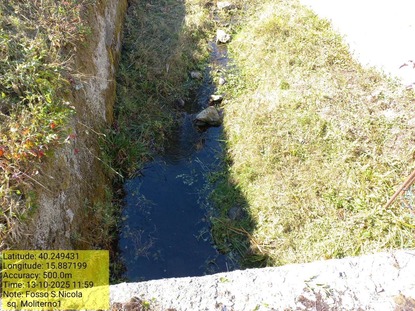 Galleria Fotografica Immagine