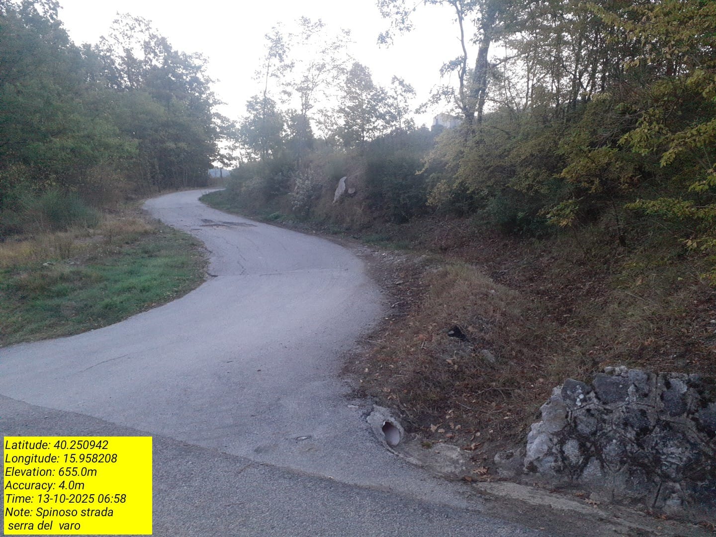 Galleria Fotografica Immagine