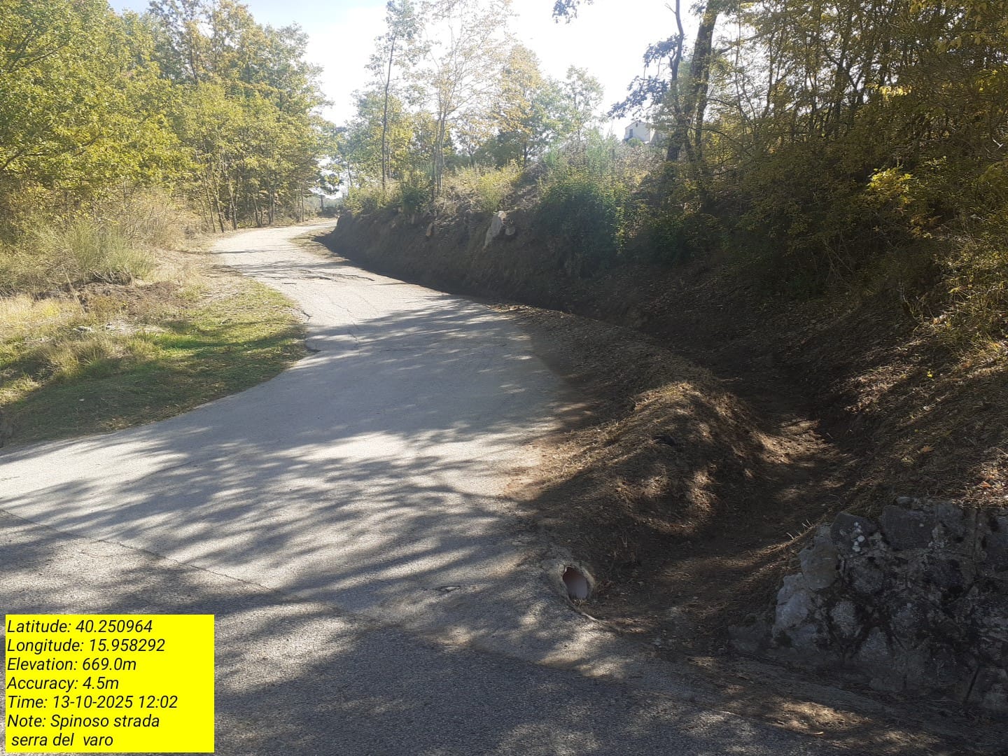 Galleria Fotografica Immagine