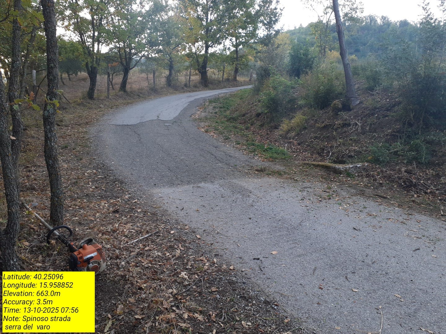 Galleria Fotografica Immagine