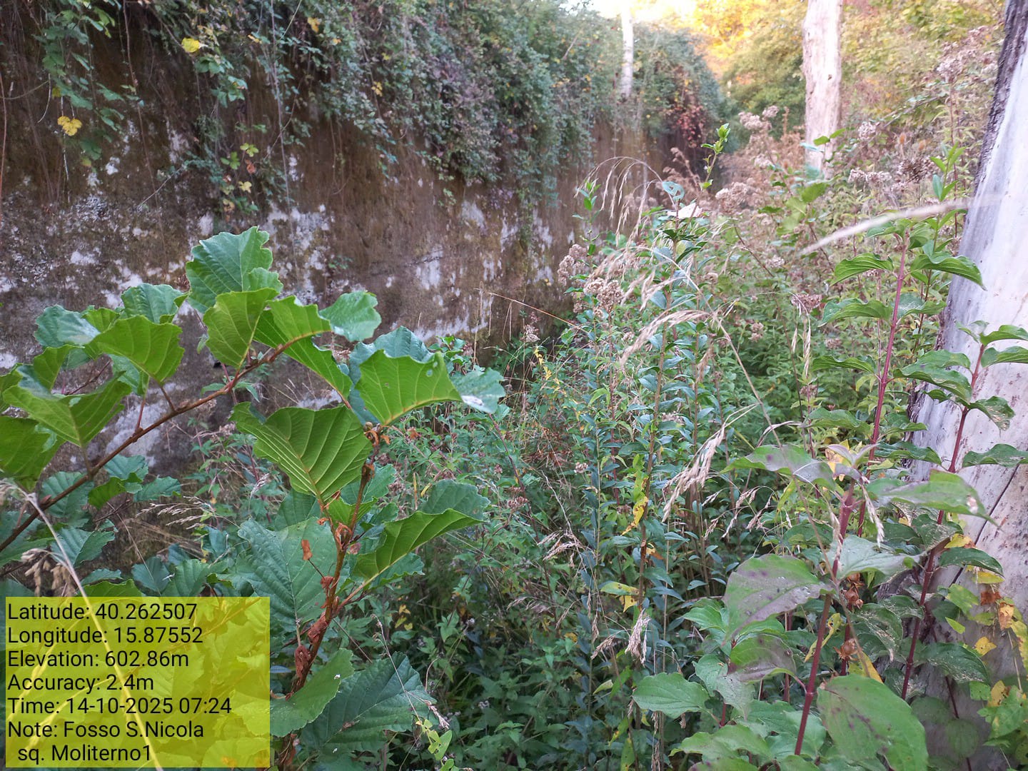 Galleria Fotografica Immagine