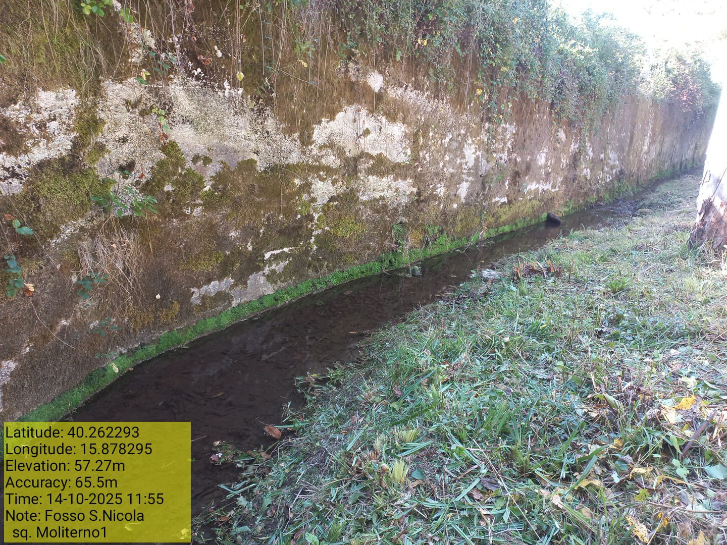 Galleria Fotografica Immagine