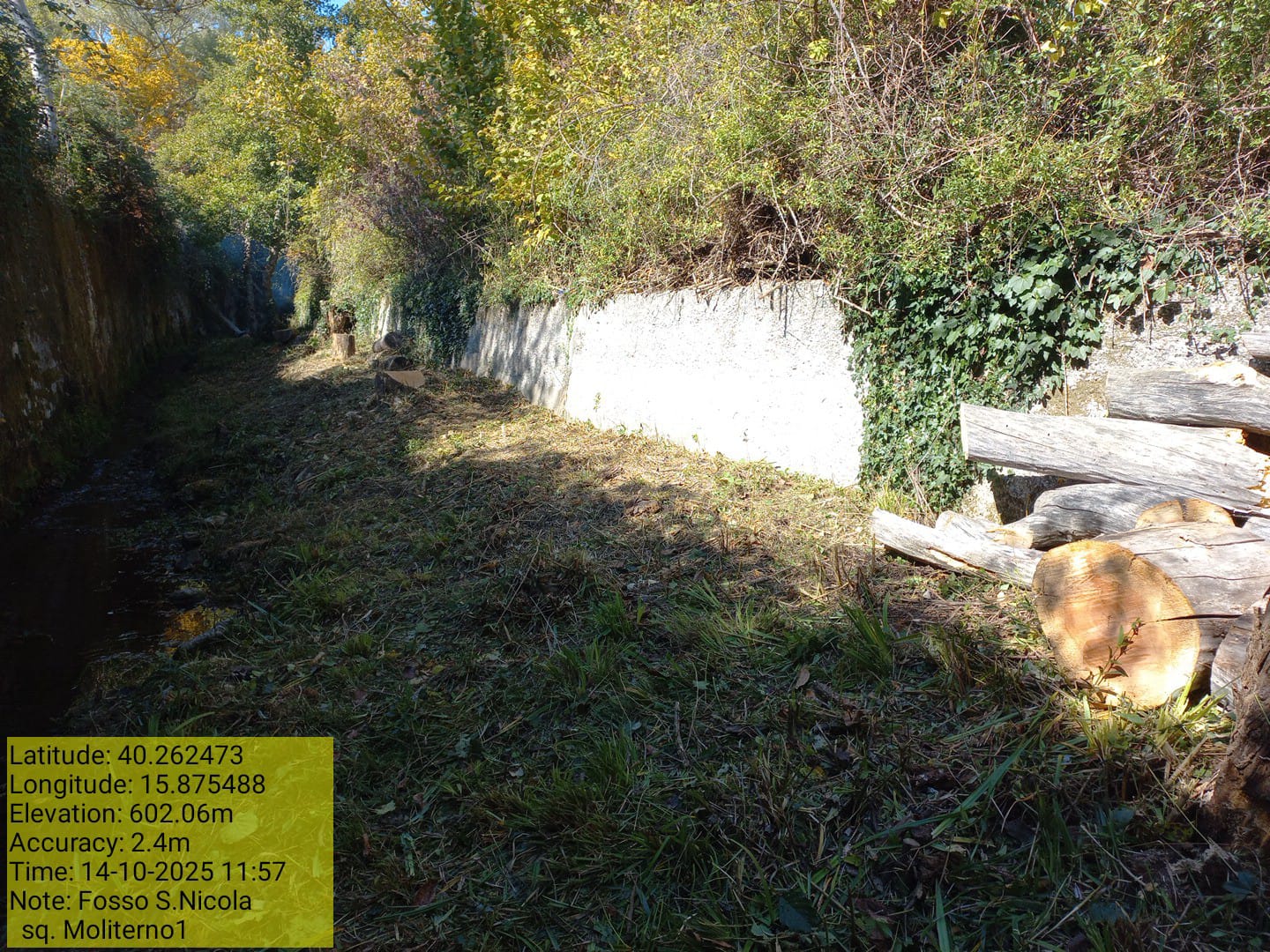 Galleria Fotografica Immagine