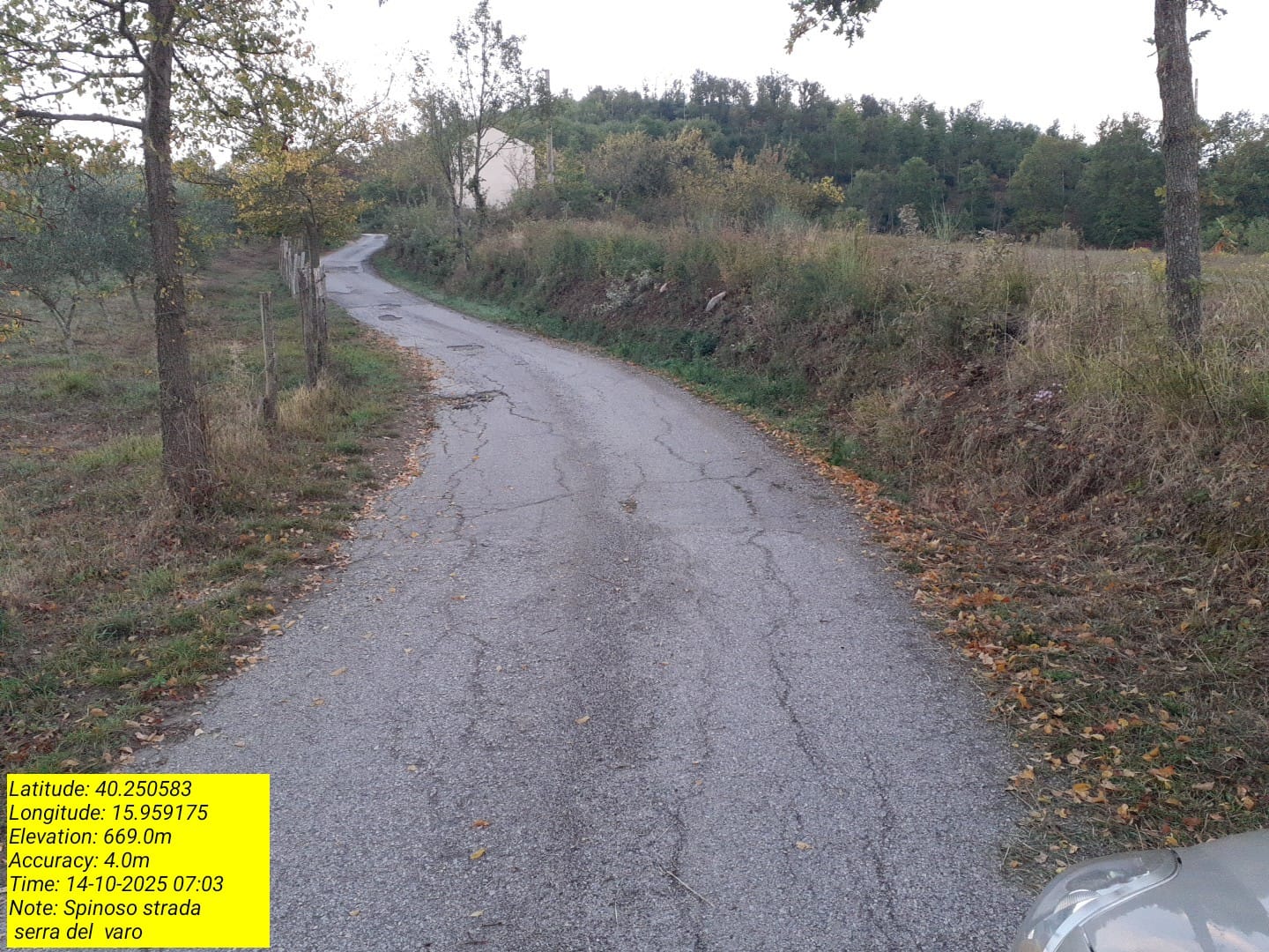 Galleria Fotografica Immagine