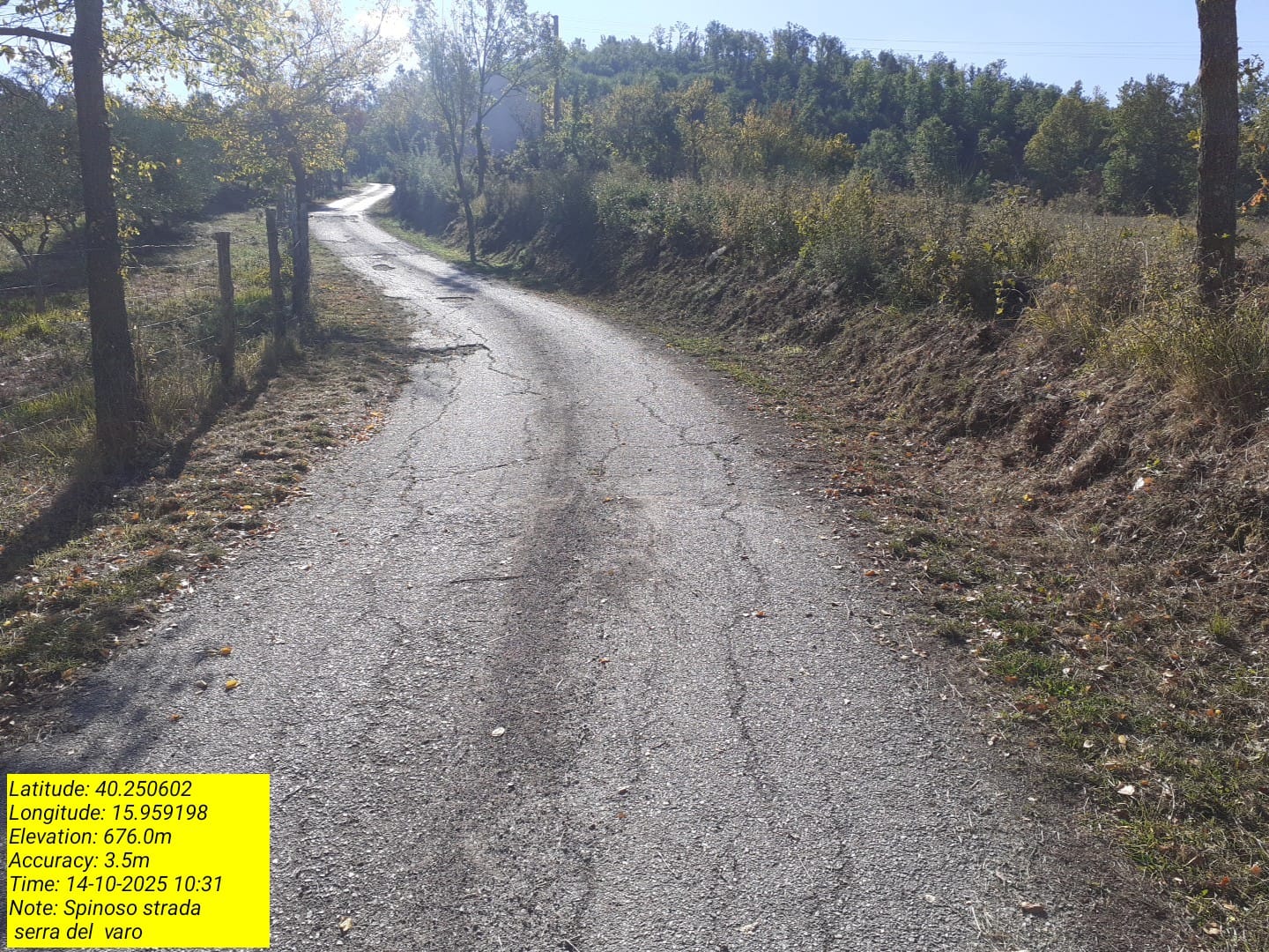 Galleria Fotografica Immagine