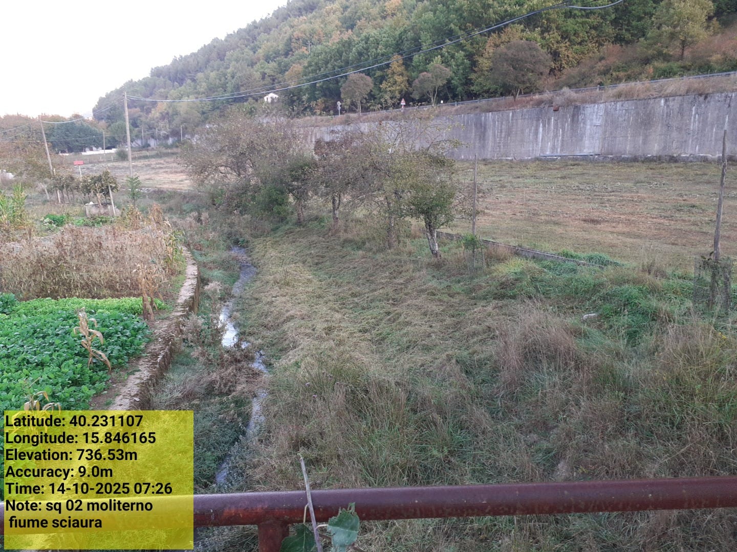 Galleria Fotografica Immagine