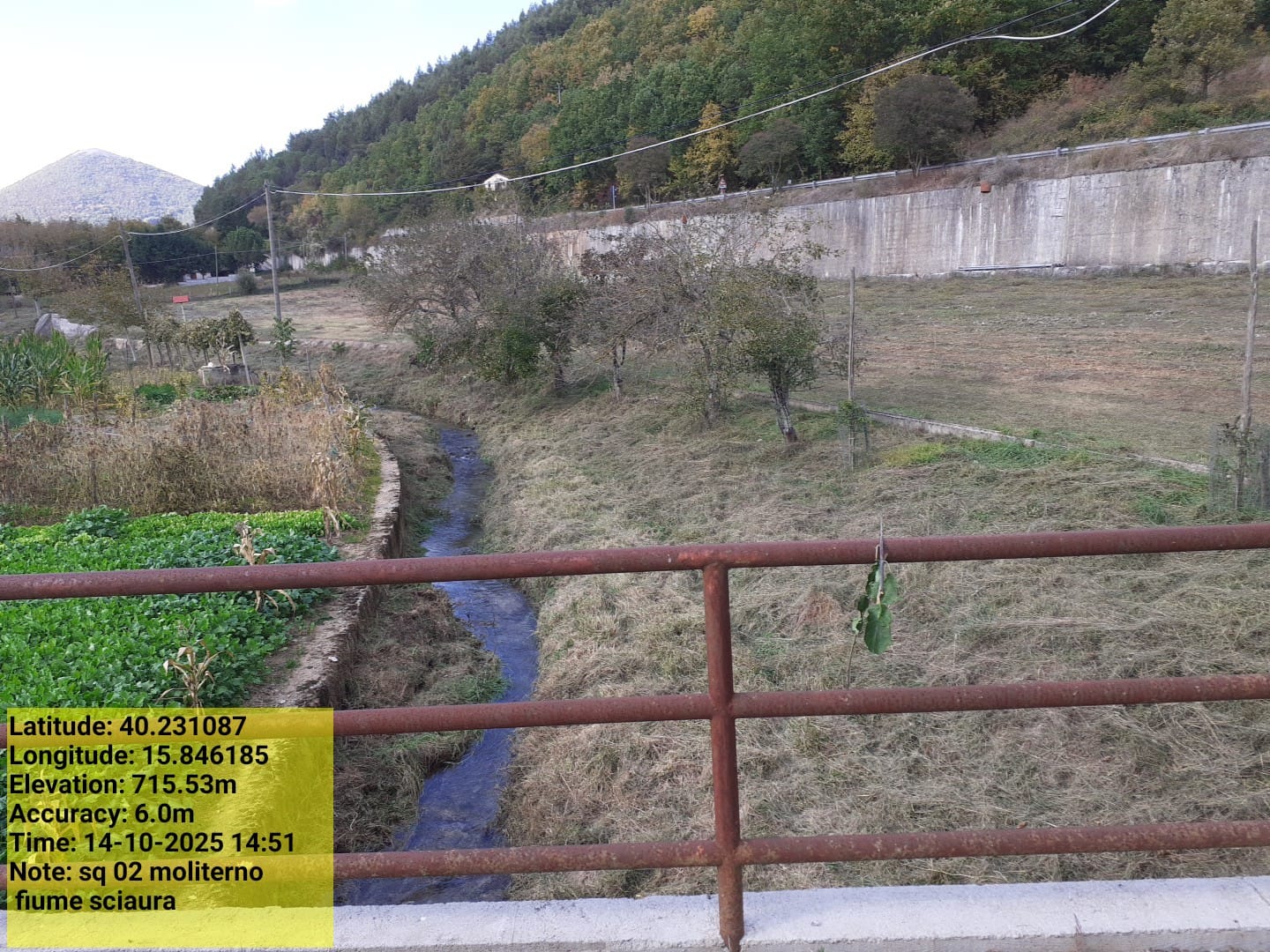 Galleria Fotografica Immagine