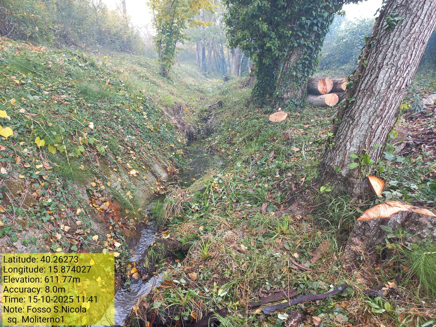 Galleria Fotografica Immagine