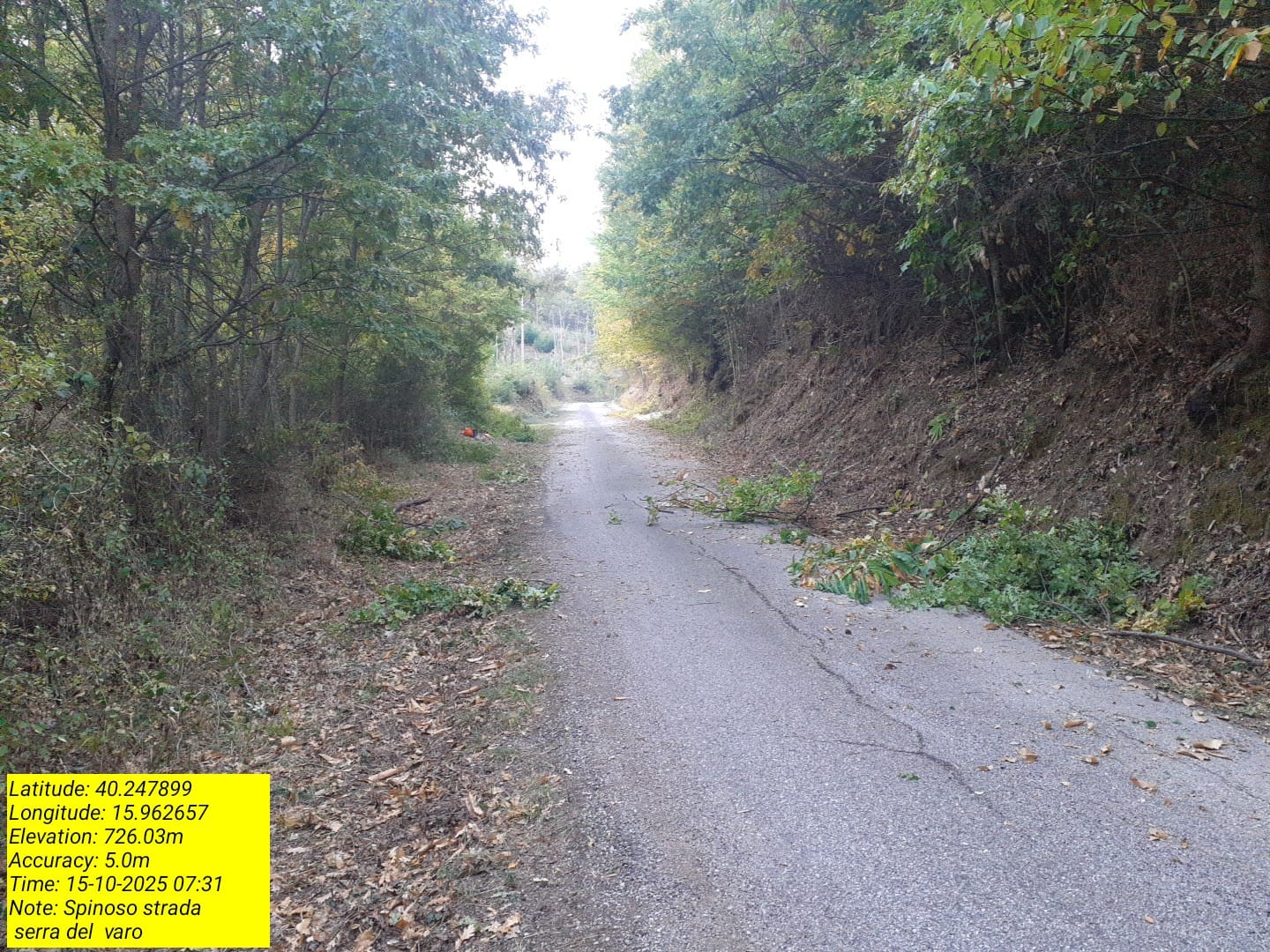 Galleria Fotografica Immagine