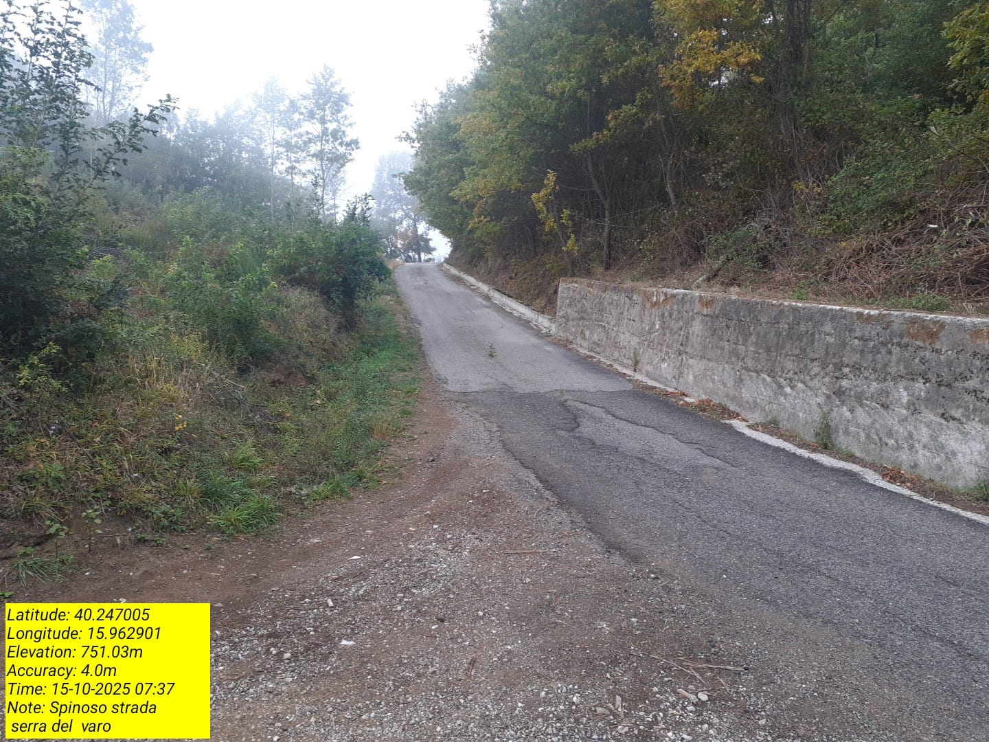 Galleria Fotografica Immagine