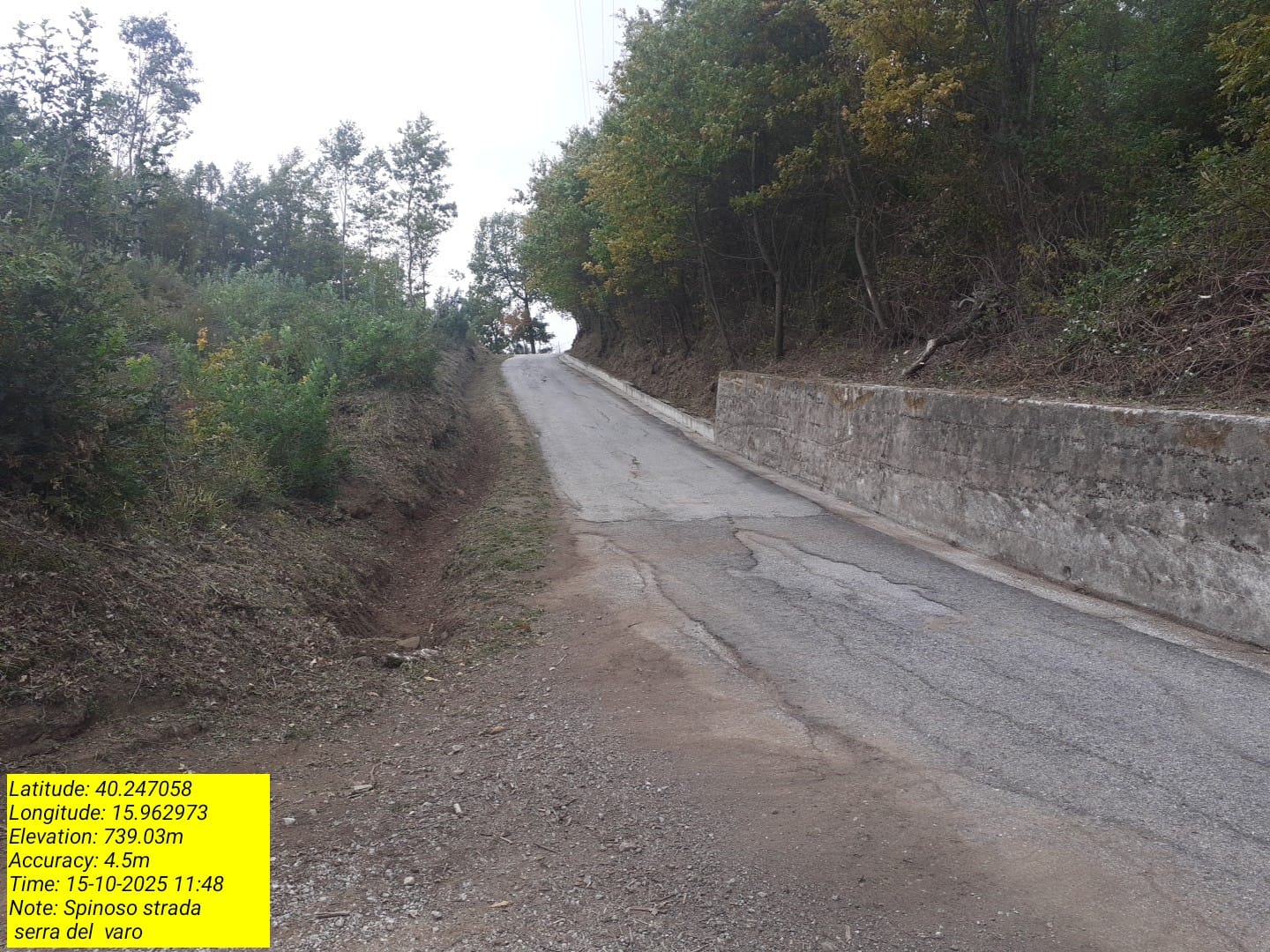 Galleria Fotografica Immagine