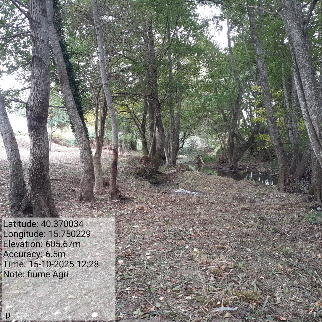 Galleria Fotografica Immagine