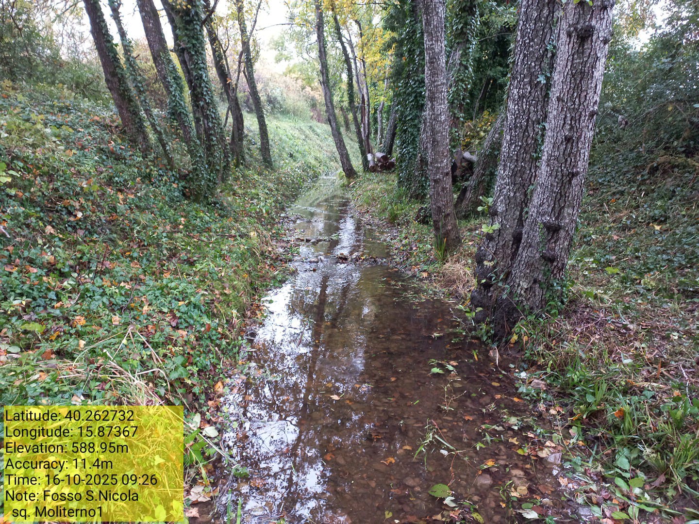 Galleria Fotografica Immagine