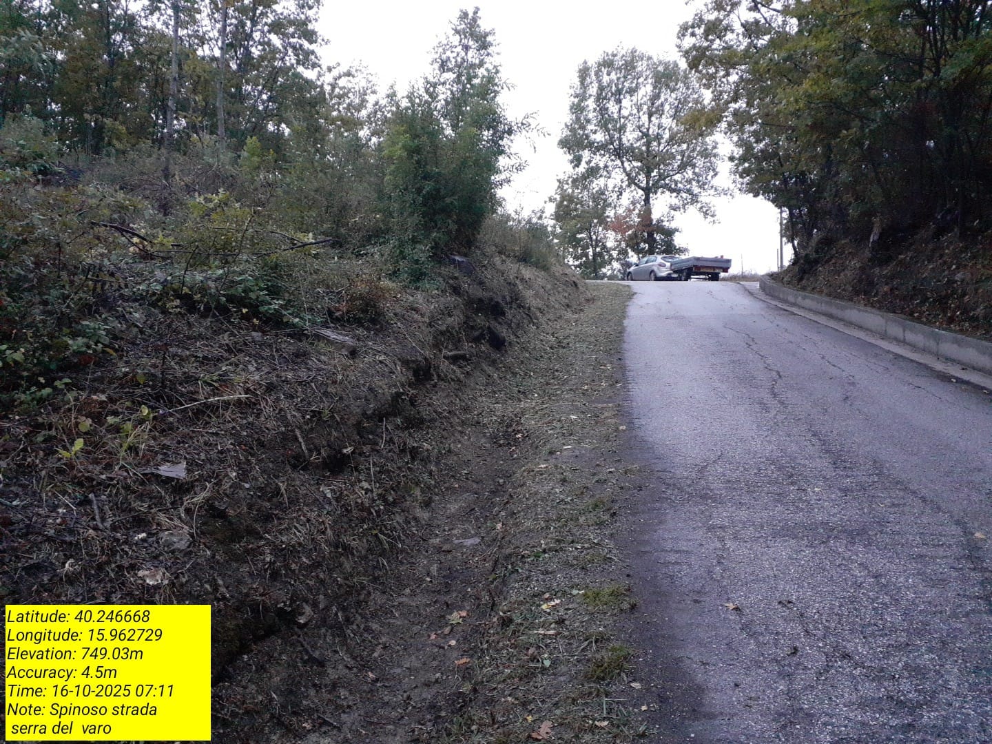 Galleria Fotografica Immagine