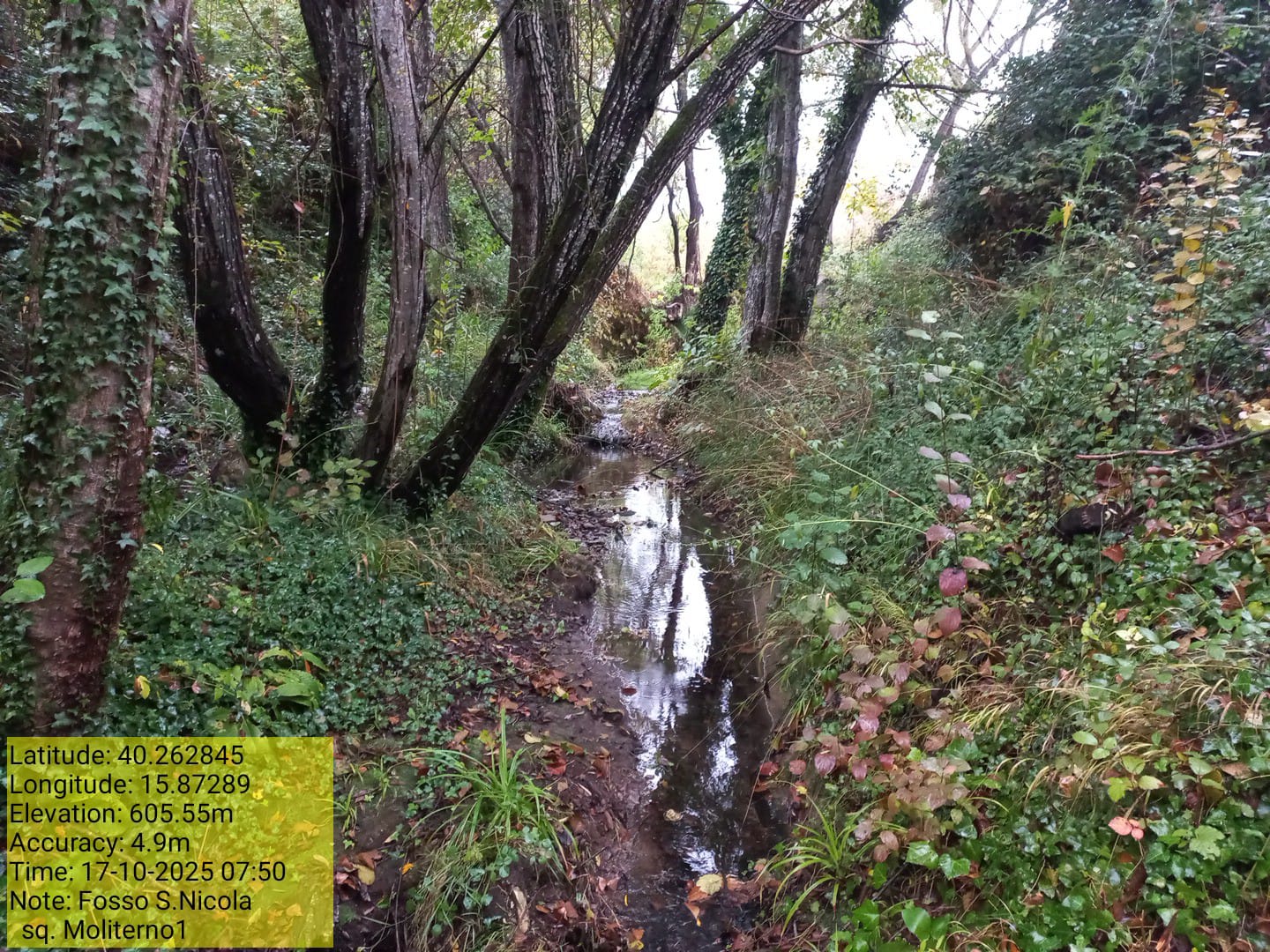 Galleria Fotografica Immagine