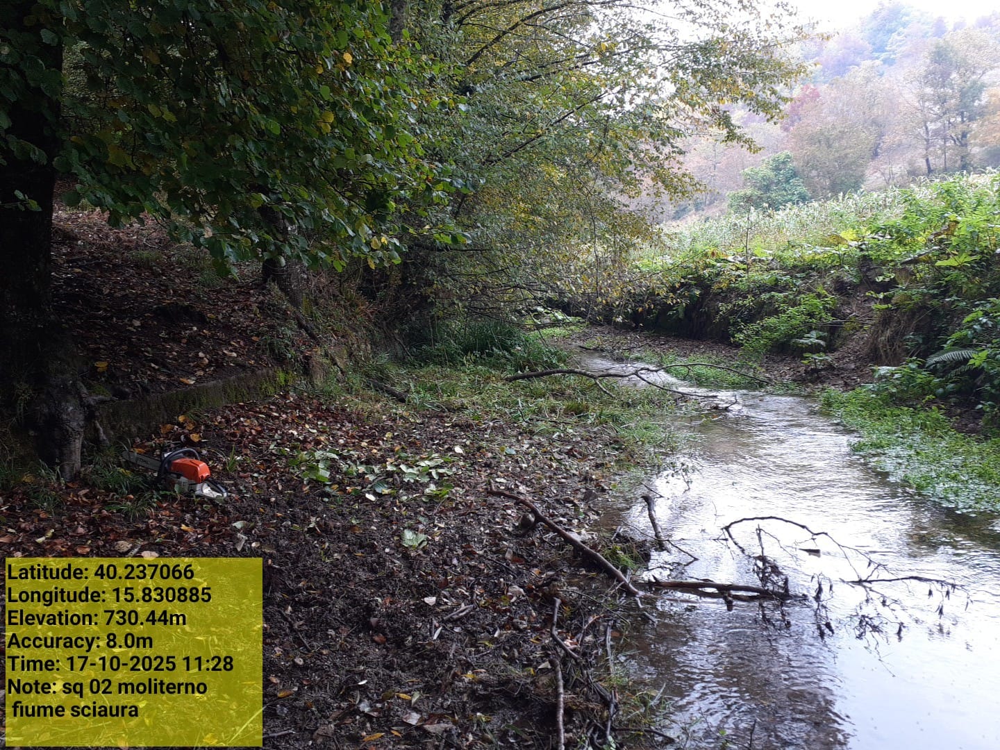 Galleria Fotografica Immagine