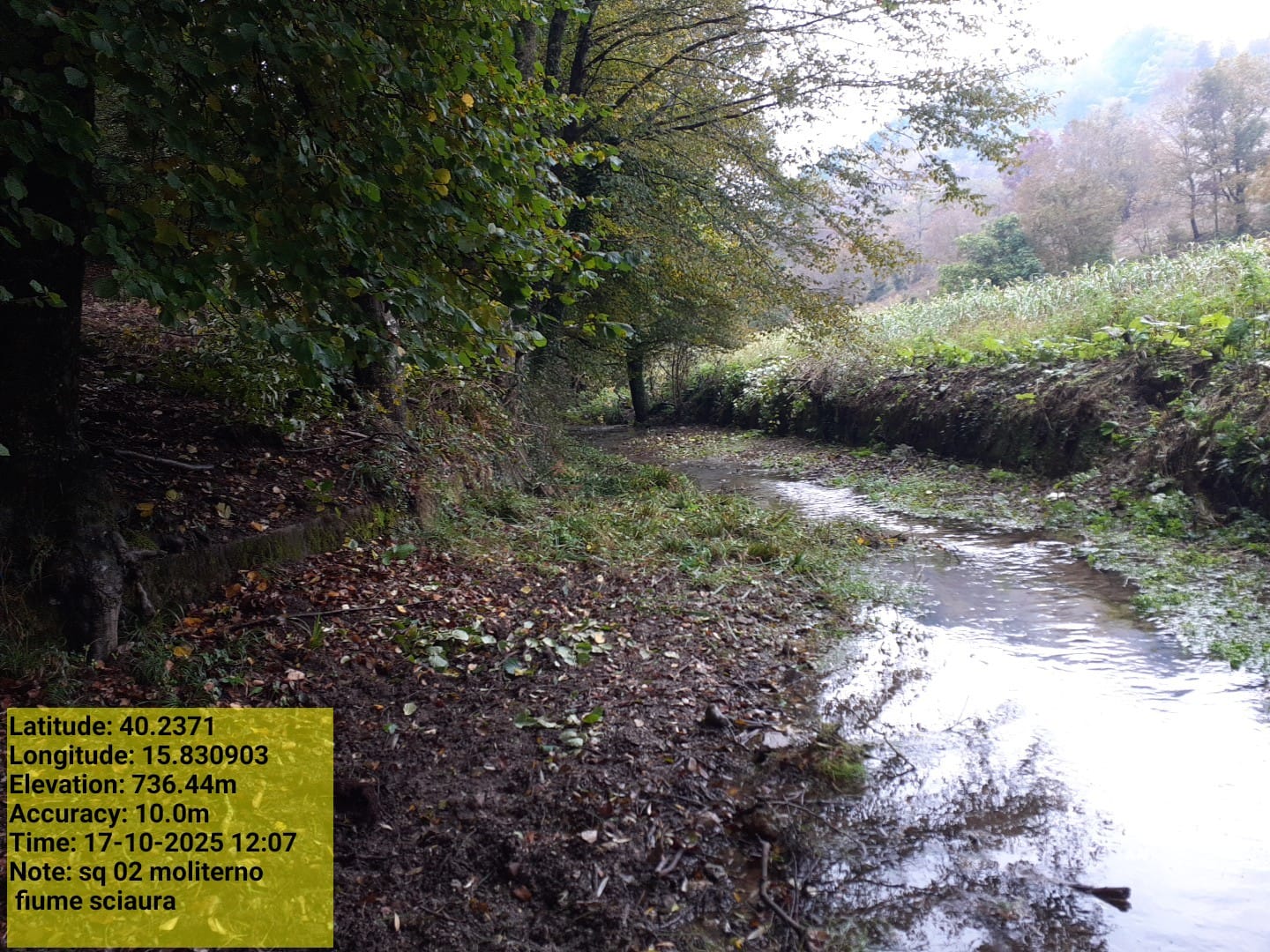 Galleria Fotografica Immagine