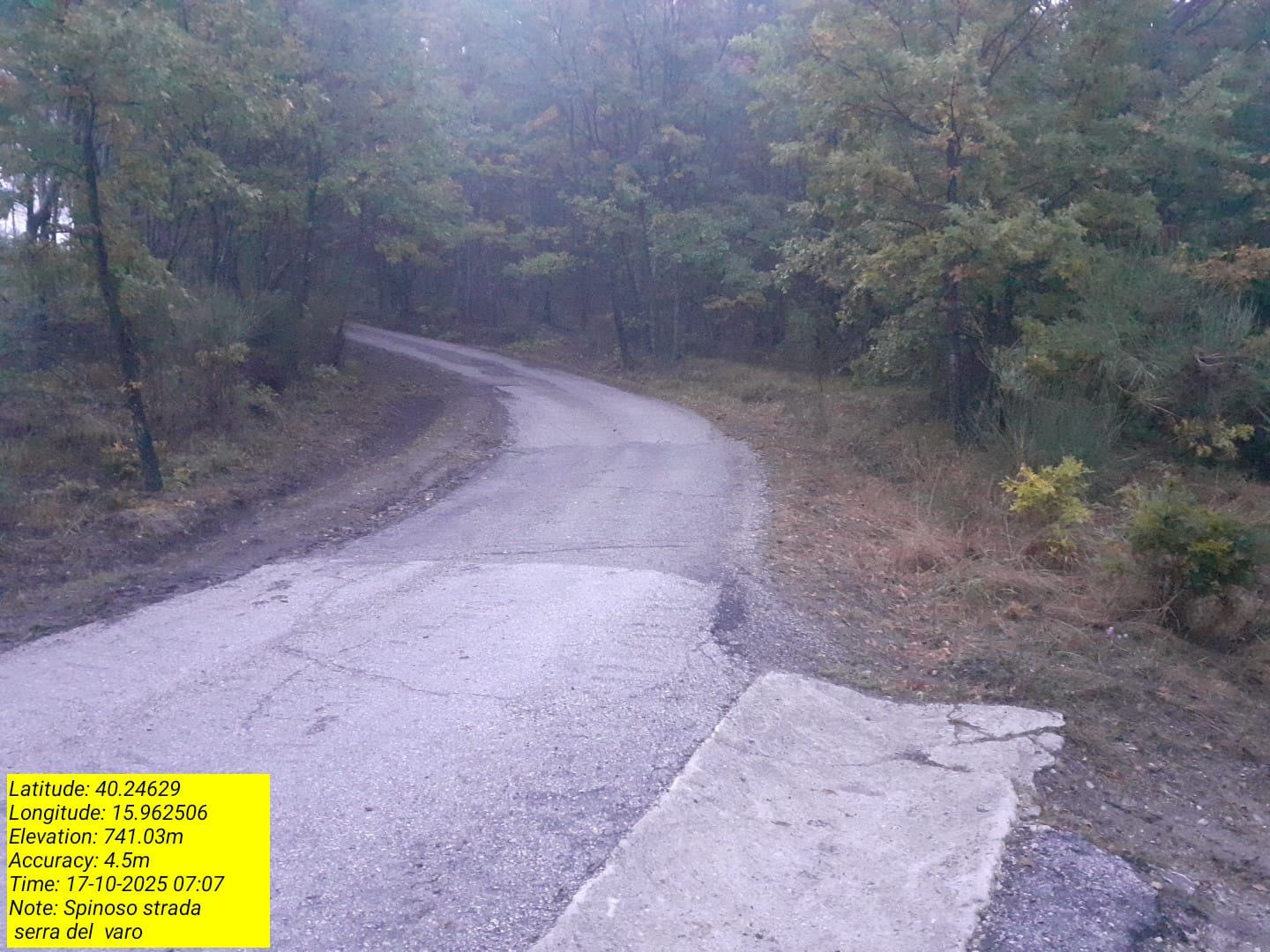 Galleria Fotografica Immagine