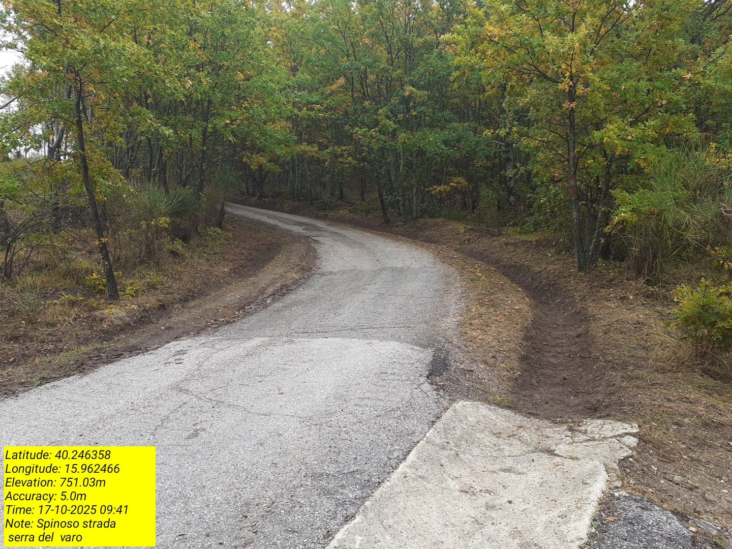 Galleria Fotografica Immagine