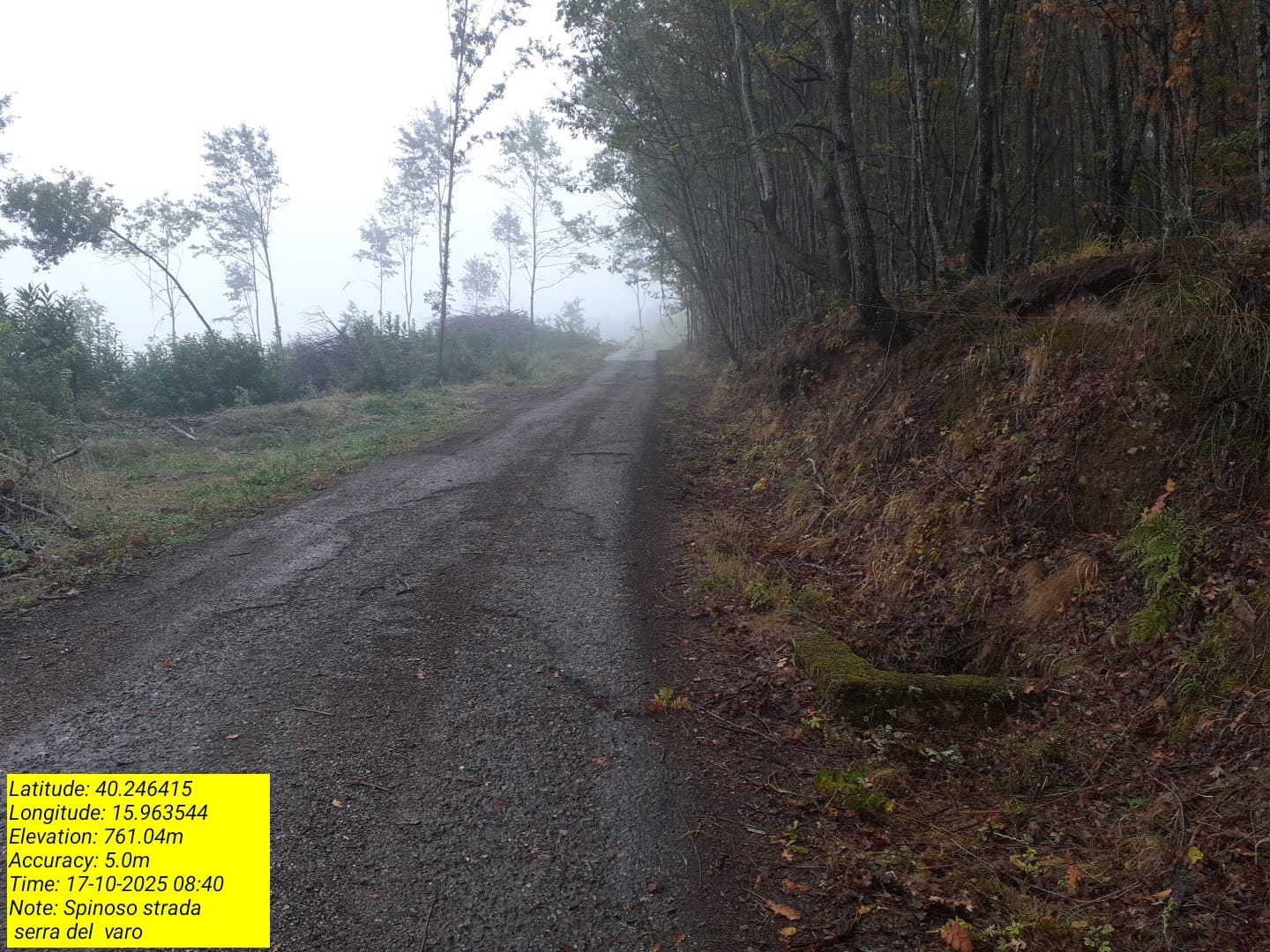 Galleria Fotografica Immagine