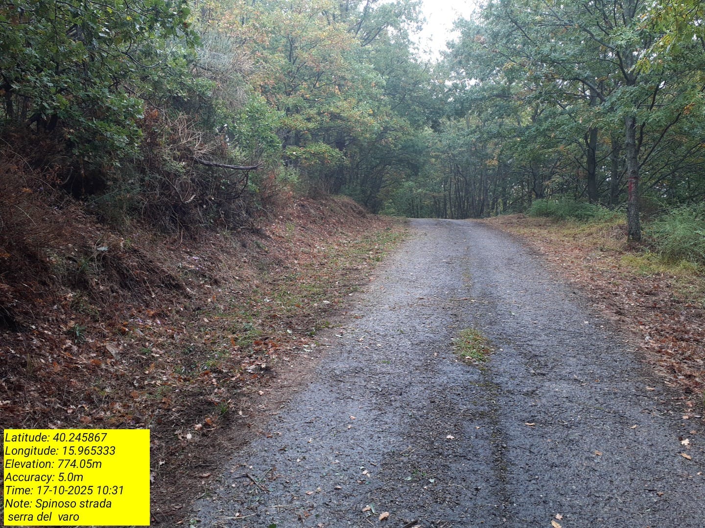 Galleria Fotografica Immagine