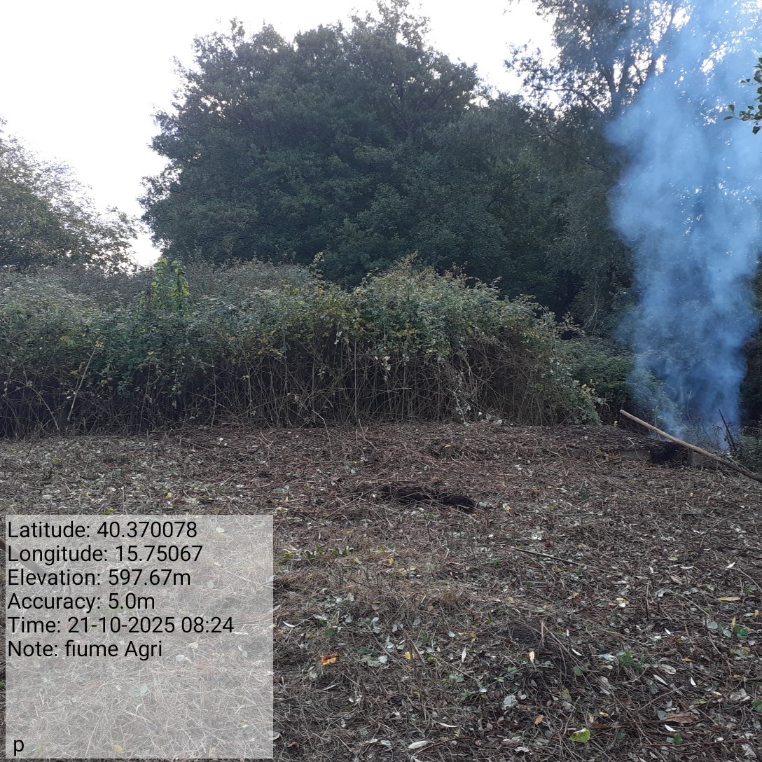 Galleria Fotografica Immagine