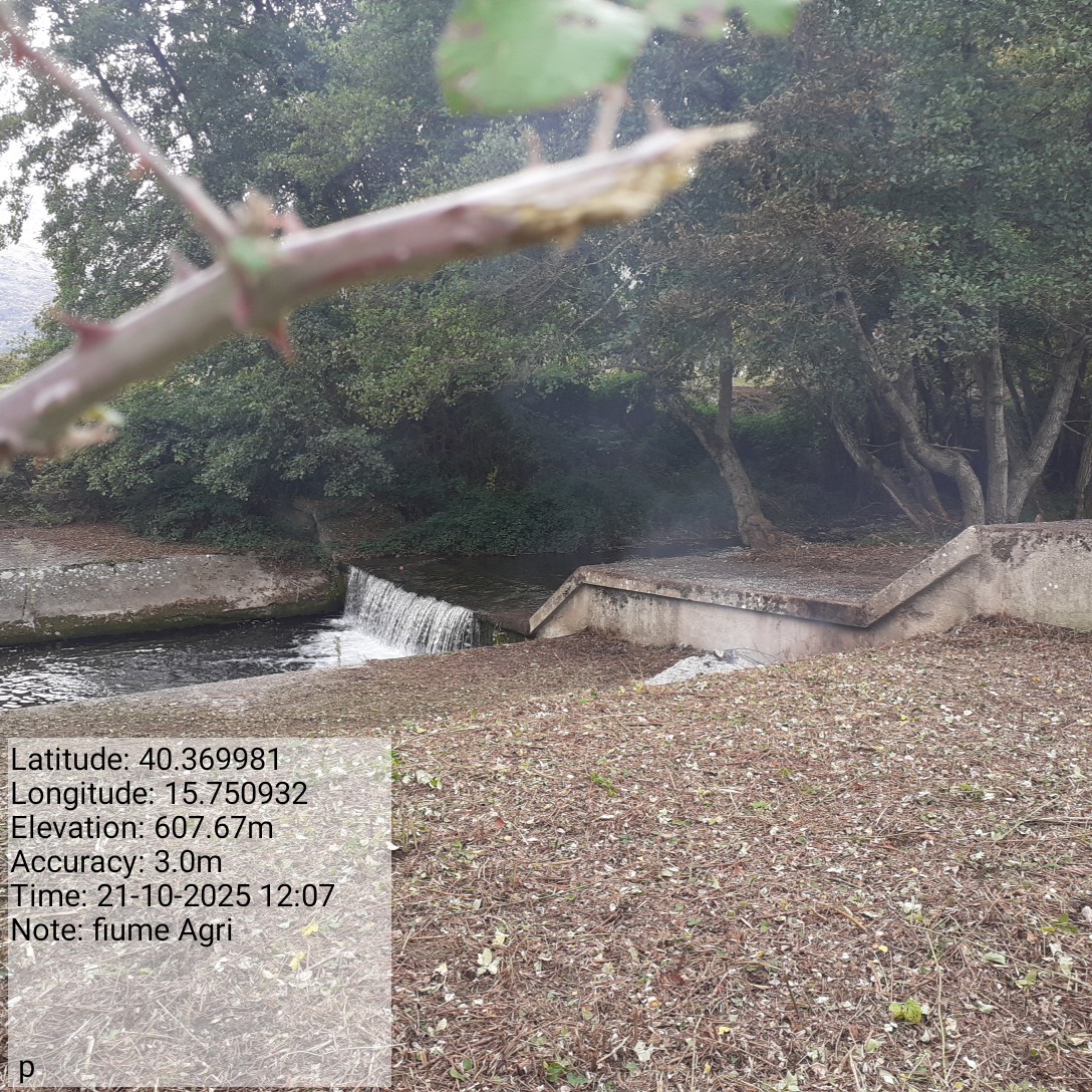 Galleria Fotografica Immagine