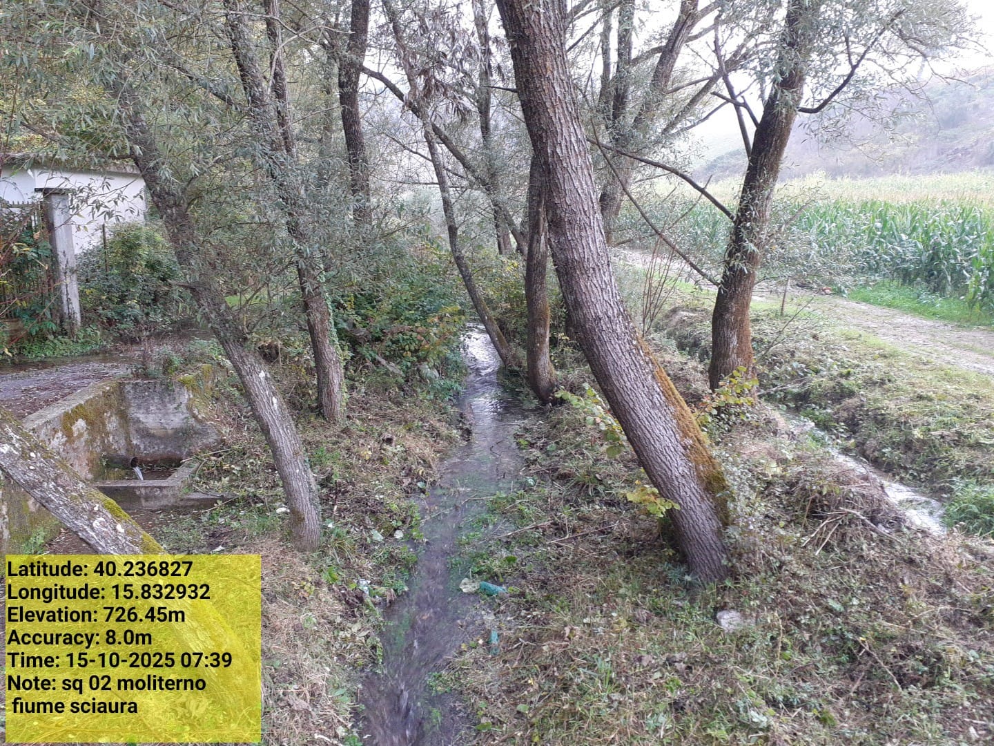 Galleria Fotografica Immagine