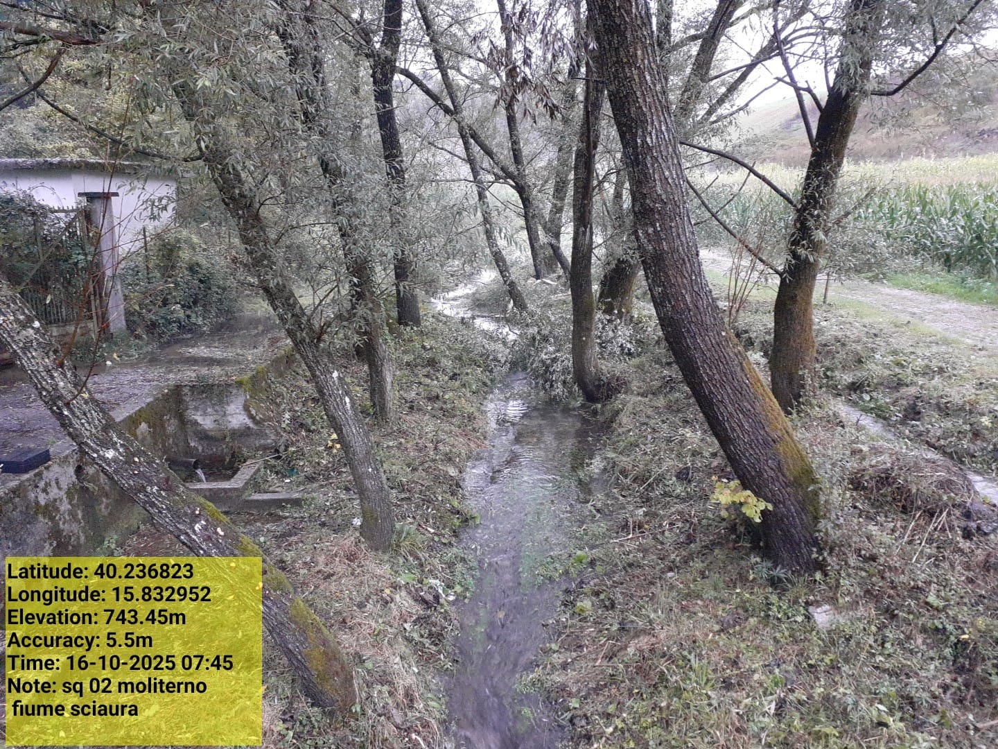 Galleria Fotografica Immagine