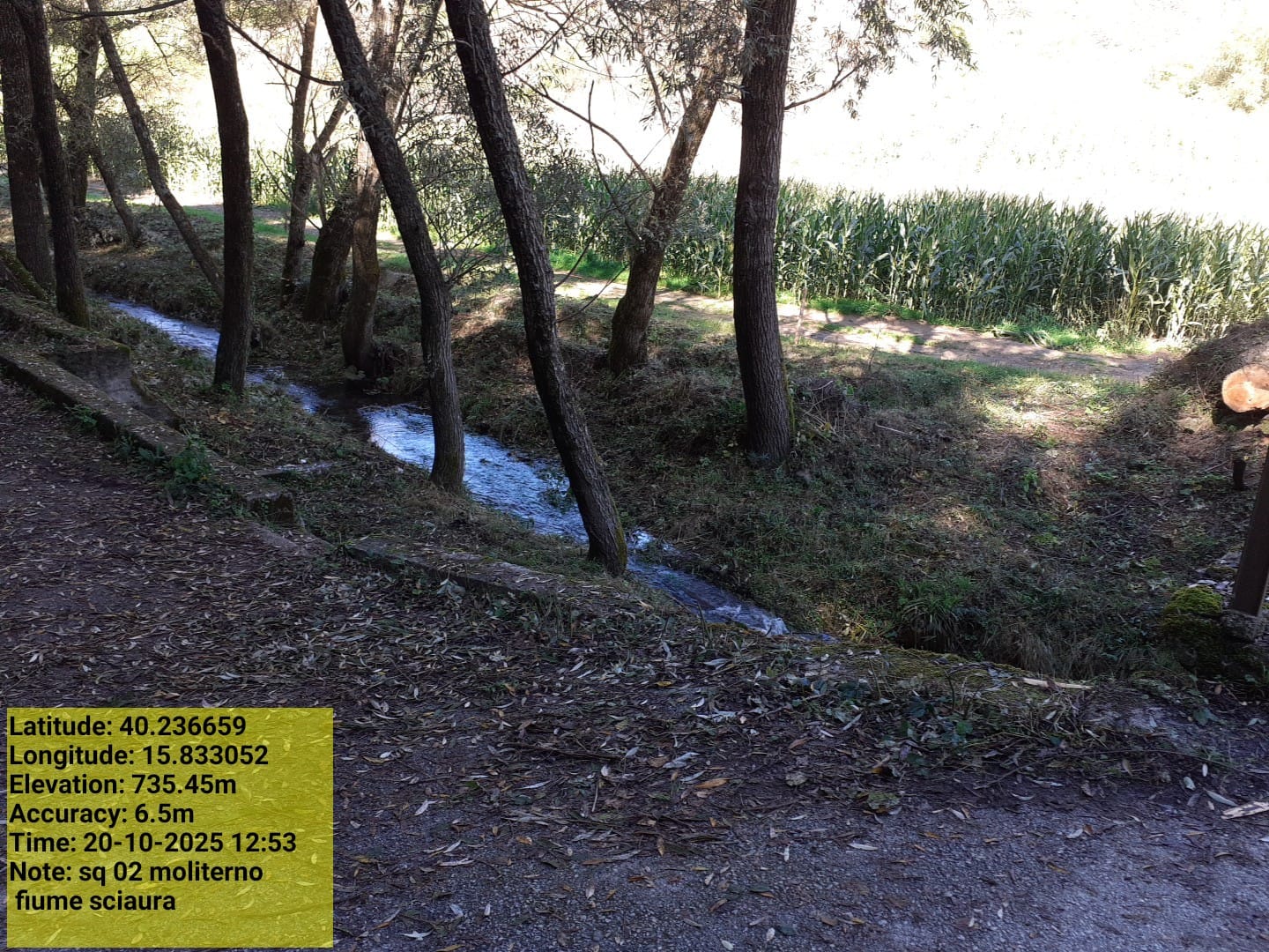 Galleria Fotografica Immagine