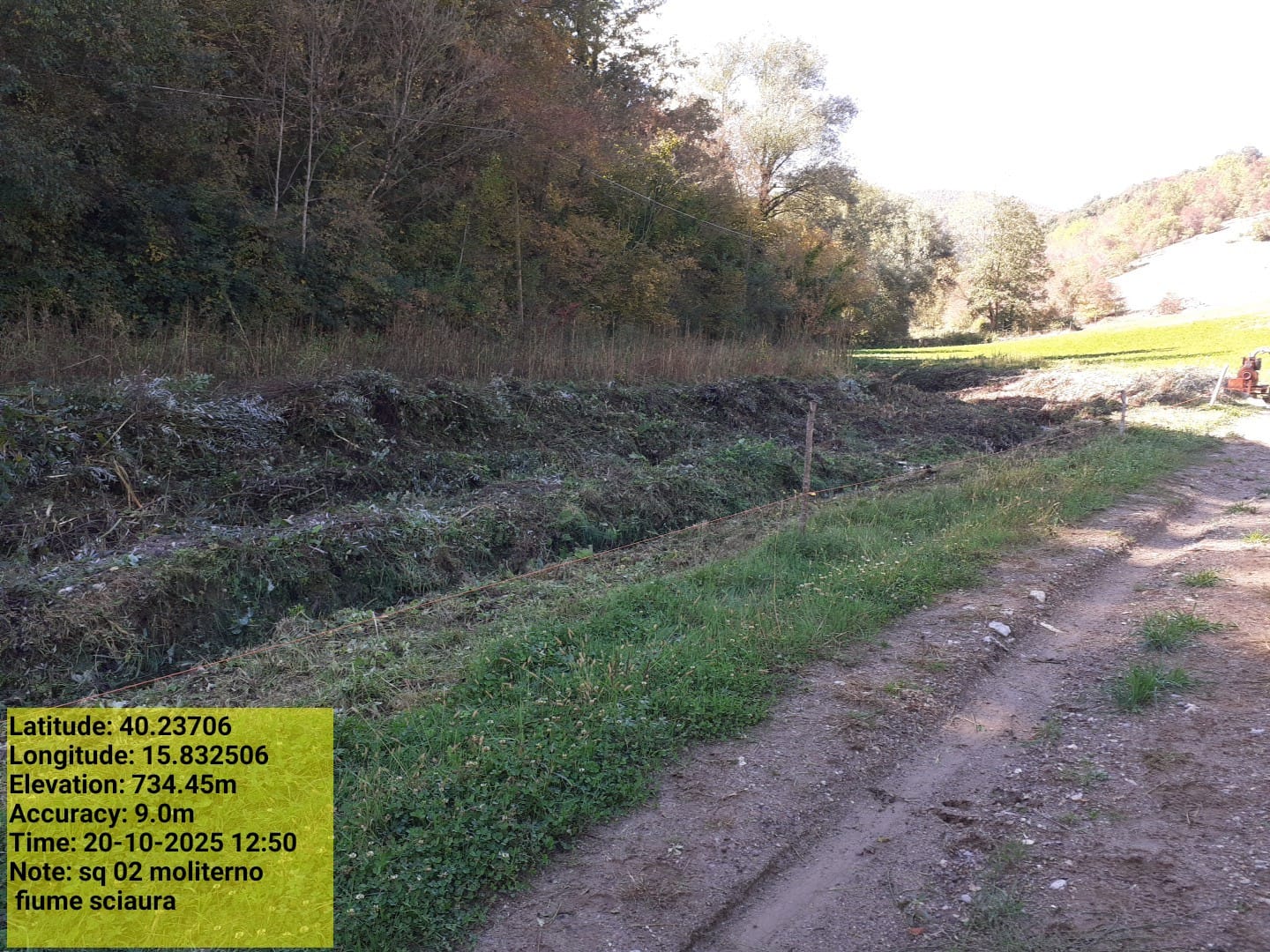 Galleria Fotografica Immagine