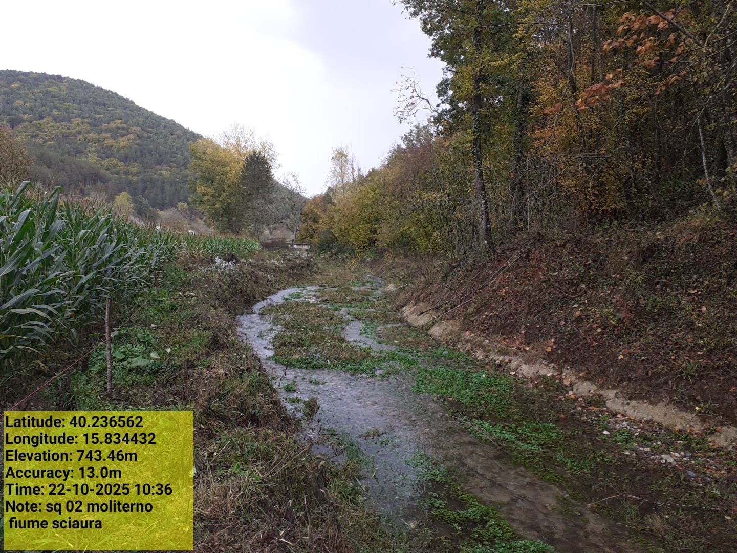 Galleria Fotografica Immagine