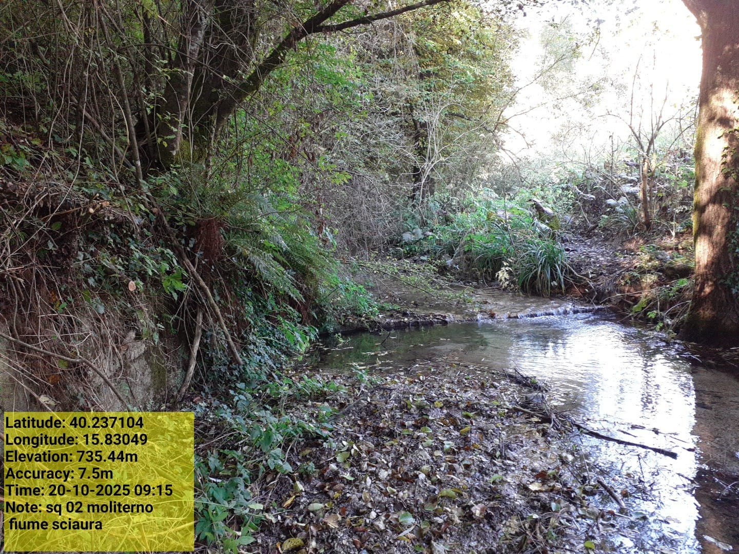 Galleria Fotografica Immagine