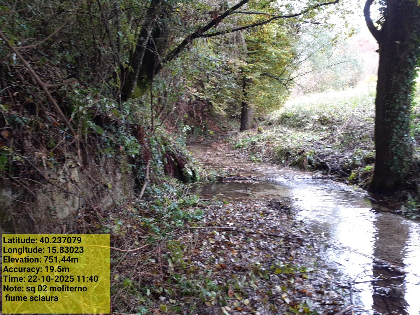 Galleria Fotografica Immagine